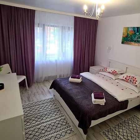 苏恰瓦La Fluturi Apartament公寓 外观 照片