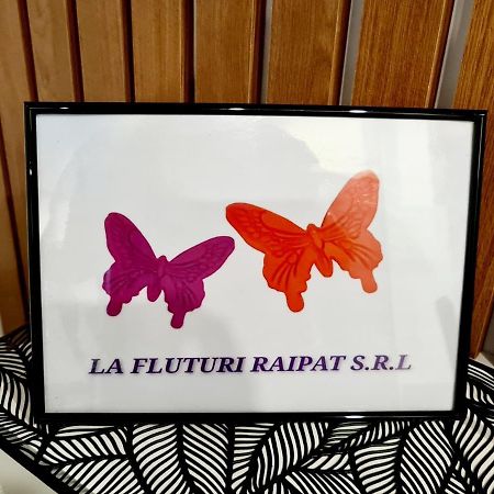 苏恰瓦La Fluturi Apartament公寓 外观 照片