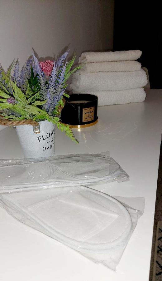 苏恰瓦La Fluturi Apartament公寓 外观 照片