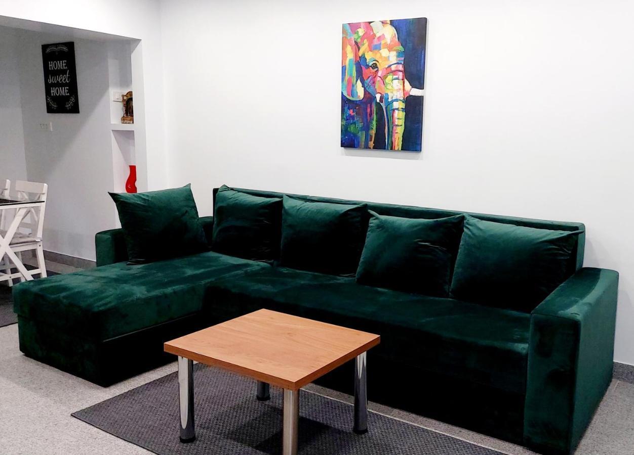 苏恰瓦La Fluturi Apartament公寓 外观 照片