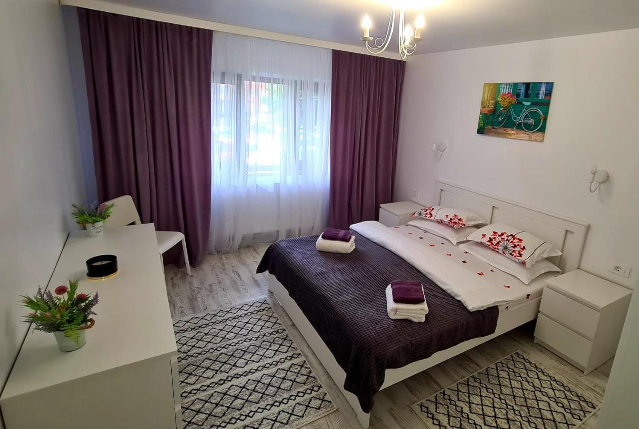 苏恰瓦La Fluturi Apartament公寓 外观 照片