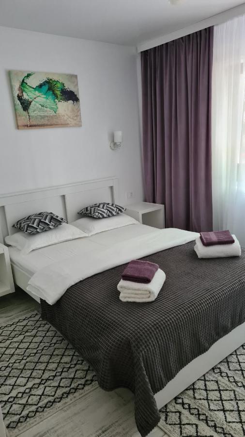 苏恰瓦La Fluturi Apartament公寓 外观 照片