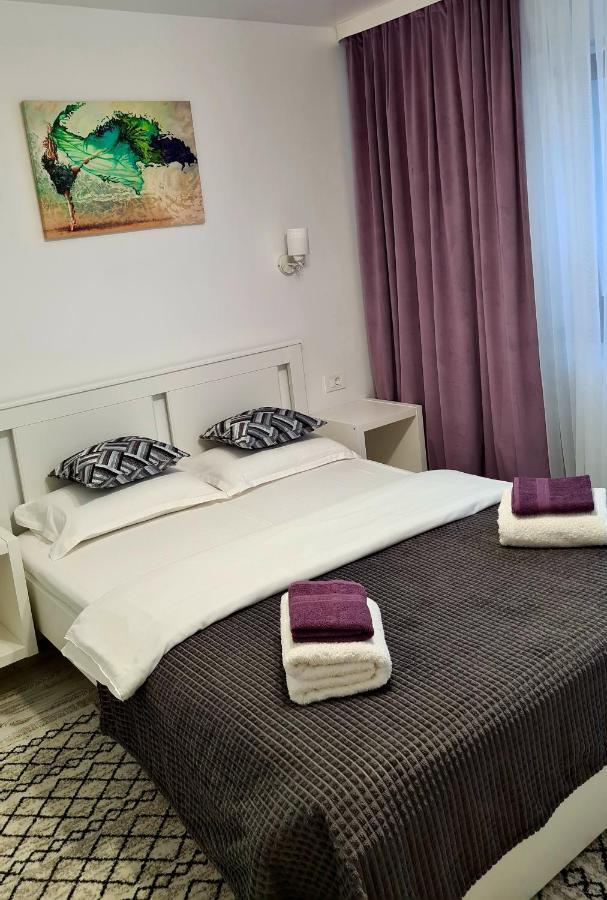 苏恰瓦La Fluturi Apartament公寓 外观 照片